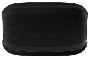 IP66 Loudspeaker - In Black