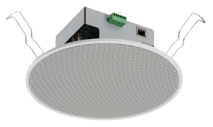 6" IP Ceiling Speaker